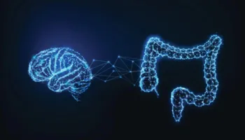 Shkencëtarët zbulojnë molekulën në zorrë që mund të rrisë rrezikun e Alzheimerit