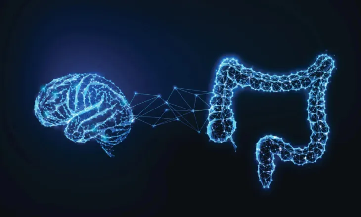 Shkencëtarët zbulojnë molekulën në zorrë që mund të rrisë rrezikun e Alzheimerit