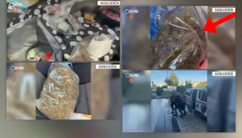 Shkodër/ Kapet 1.5 kg kanabis gati për shitje në afërsi të shkollave, në pranga 28-vjeçari