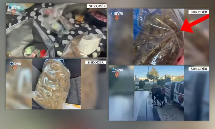 Shkodër/ Kapet 1.5 kg kanabis gati për shitje në afërsi të shkollave, në pranga 28-vjeçari