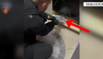 Shkodër/ Kapet 15-vjeçari që dyshohet se shiste kanabis pranë shkollës