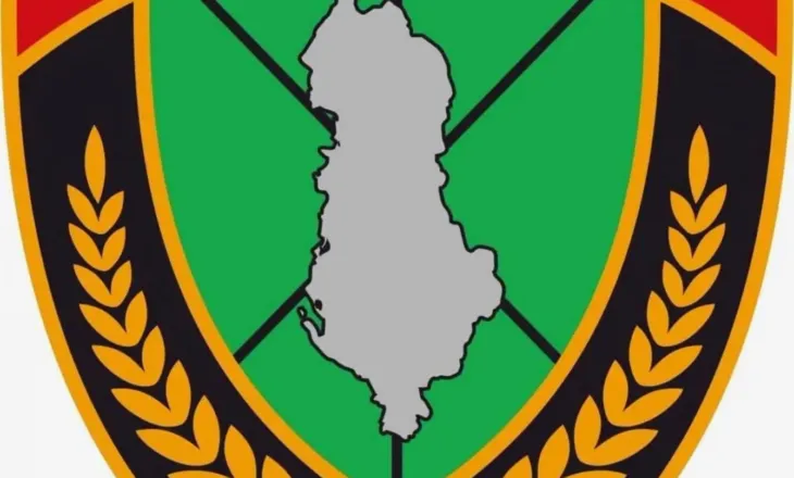 Shkodër, në pranga 23-vjeçari që transportonte emigrantë për kalim të paligjshëm të kufirit