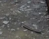 Shpërthimi me tritol ‘zgjon’ Kamzën, eksplozivi në murin e një banese (EMRI)
