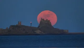 Si do të rriten ushqimet në Hënë? NASA dhe dy agjenci hapësinore nisin kërkimet