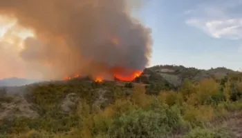 Situatë alarmante nga zjarret në Peqin, era e fortë dhe terreni i vështirë favorizojnë flakët!