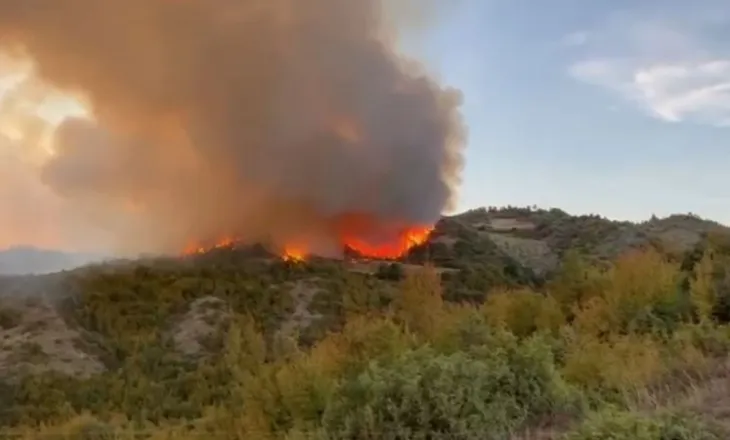 Situatë alarmante nga zjarret në Peqin, era e fortë dhe terreni i vështirë favorizojnë flakët!