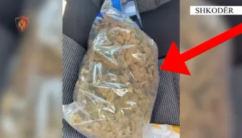 Tentoi të shiste drogë pranë shkollave, arrestohet 28-vjeçari në Shkodër