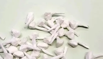 Trafik kokainë në Itali, dënohen 3 shqiptarë! Porositë drejtoheshin nga Shqipëria