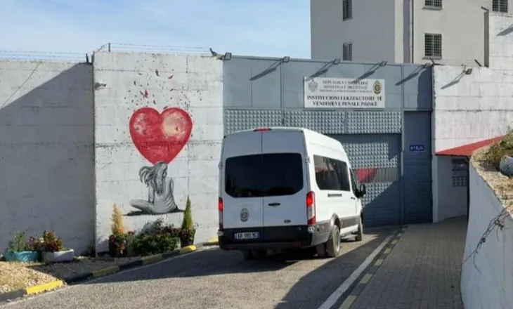 U dënua dhe u dërgua në qeli bashkë me foshnjën 3 muajshe, lirohet Greta Gjoci! Avokati ‘shkel’ bojkotin (VIDEO)