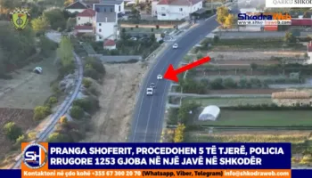 VIDEO – 1253 gjoba në një javë, Policia Rrugore në Shkodër arreston një shofer, procedon 5 të tjerë