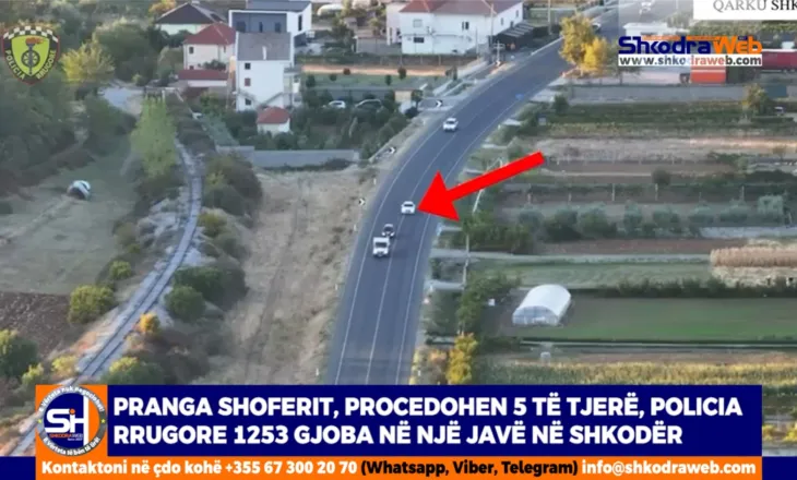 VIDEO – 1253 gjoba në një javë, Policia Rrugore në Shkodër arreston një shofer, procedon 5 të tjerë