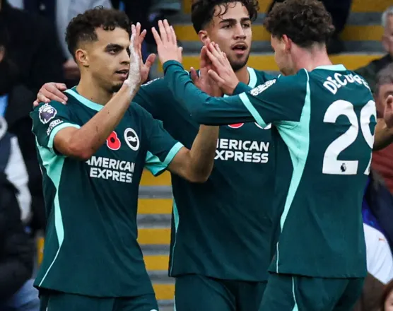 VIDEO/ City mundet nga Brighton, vendos një gol