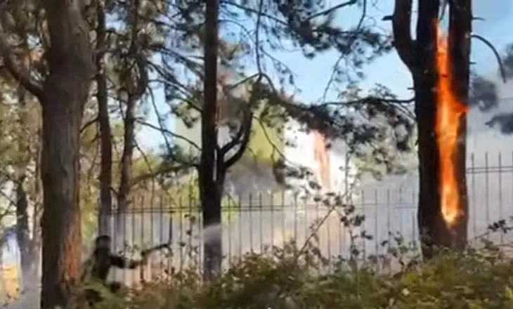 VIDEO/ Kukës, përfshihet nga flakët kurora e pishave pranë gjimnazit të qytetit