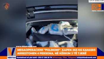 VIDEO – Megaoperacioni “Polinomi”, kapen 265 kg kanabis, arrestohen 4 persona, 3 shpallen në kërkim