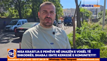 VIDEO – Nisja krasitja e pemëve në Unazën e Vogël të Shkodrës, Shabaj: Ishte kerkesë e komunitetit!