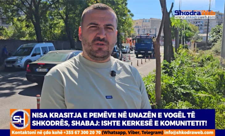 VIDEO – Nisja krasitja e pemëve në Unazën e Vogël të Shkodrës, Shabaj: Ishte kerkesë e komunitetit!