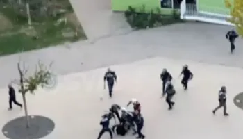 VIDEO/ Pamje makabre, shikoni se si 6 policë masakrojnë me shkopinj gome turistin e huaj