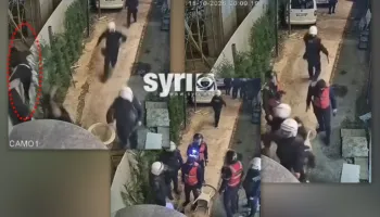 VIDEO/ Pamje të rënda, shikoni dhunën shtazarake të policisë ndaj disa fëmijëve 13-vjeçar