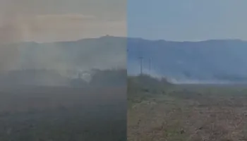 VIDEO/ Zjarr në fshatin Armen të Selenicës, era e fortë favorizon përhapjen e flakëve