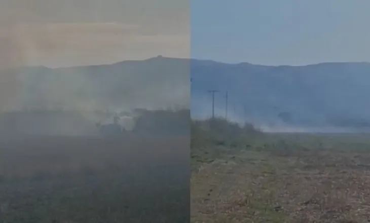 VIDEO/ Zjarr në fshatin Armen të Selenicës, era e fortë favorizon përhapjen e flakëve