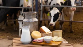 Yndyrnat trans që gjenden natyrshëm në produktet e qumështit nuk dëmtojnë zemrën