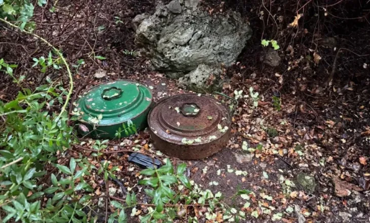 Zbulohen dy mina antitank në Borsh, ndërhyjnë forcat xheniere