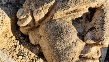 Zbulohen skulptura romake dhe një sistem ujor në një kompleks të lashtë në Francë