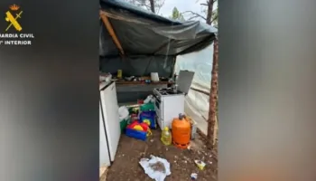 Zbulohet plantacioni i kanabisit brenda një pylli në Spanjë, në pranga 4 shqiptarët! Strehoheshin në tenda kampingu