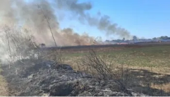 Zjarr i madh në Libofshë, era favorizon flakët që përhapen me shpejtësi drejt tokave bujqësore