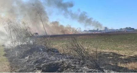 Zjarr i madh në Libofshë, era favorizon flakët që përhapen me shpejtësi drejt tokave bujqësore