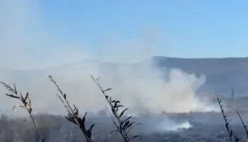 Zjarr i madh në Rrilë të Lezhës, flakët favorizohen nga era, digjet sipërfaqe me bimësi!