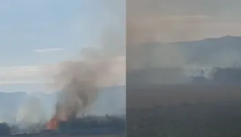 Zjarr i përmasave të mëdha në Armen të Selenicës, digjen ullinj dhe bimësi