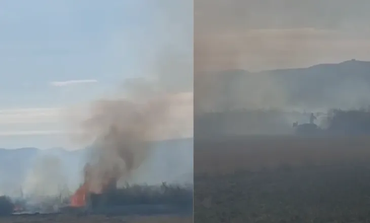 Zjarr i përmasave të mëdha në Armen të Selenicës, digjen ullinj dhe bimësi