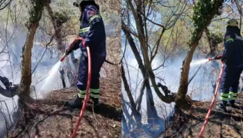 Zjarr i përmasave të mëdha në kullotat e Karjanit në Gjirokastër, era favorizon flakët