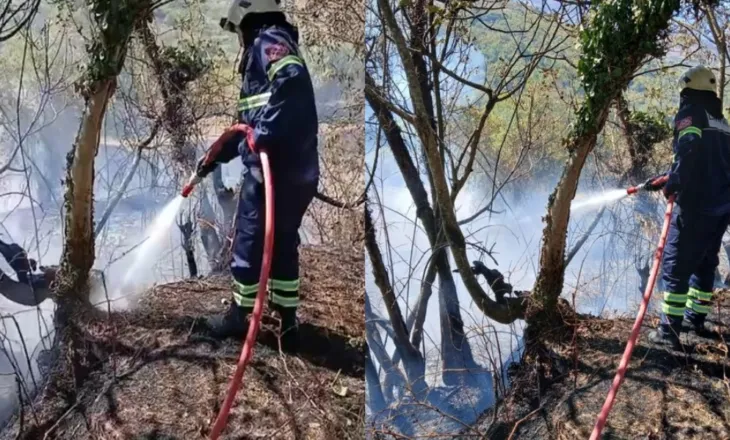 Zjarr i përmasave të mëdha në kullotat e Karjanit në Gjirokastër, era favorizon flakët