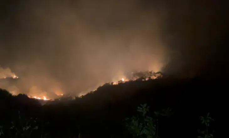 Zjarr masiv në fshatin Kotë të Selenicës, flakët u afrohen banesave