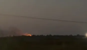 Zjarr në Fier, përfshihet nga flakët sipërfaqja me shkurre (VIDEO)