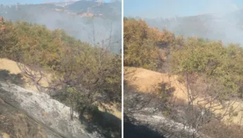 Zjarr në fshatin Mallunxë të Matit, terreni i thyer vështirëson punën e forcave në aksion!