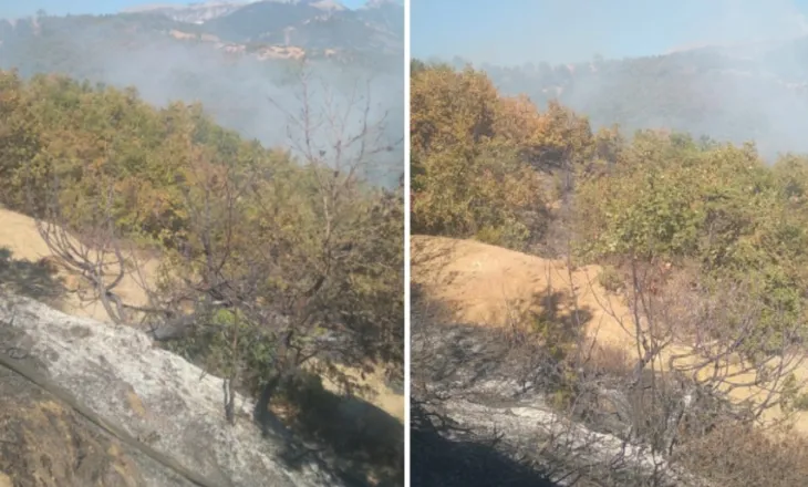 Zjarr në fshatin Mallunxë të Matit, terreni i thyer vështirëson punën e forcave në aksion!