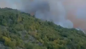 Zjarret në Peqin vijojnë me intensitet të lartë, pritet ndërhyrje nga ajri (VIDEO)