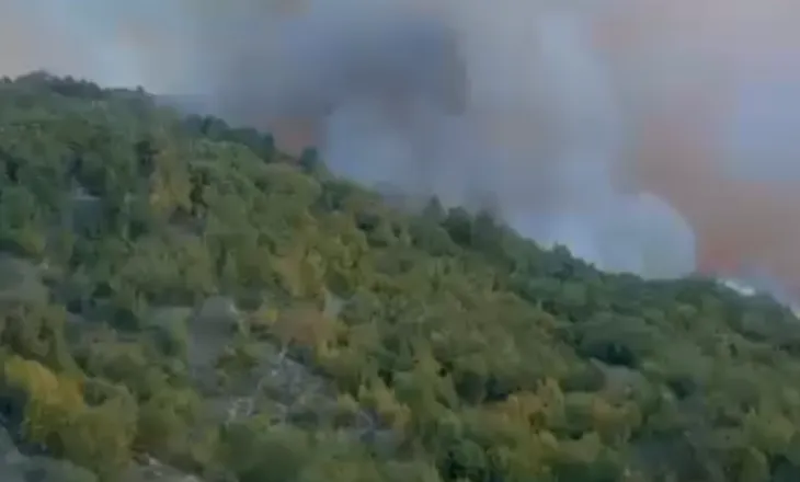 Zjarret në Peqin vijojnë me intensitet të lartë, pritet ndërhyrje nga ajri (VIDEO)