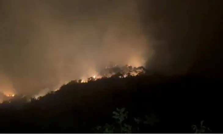 Zjarri përfshin fshatin Kotë në Selenicë, flakët i afrohen banesave (VIDEO)