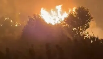 Zjarri përfshin Galushin dhe Gjevurin në Peqin, ndërhyrje edhe nga ajri