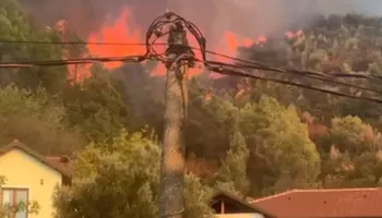 Zjarri përfshin malin e Manatisë, flakët i afrohen banesave në Lezhë
