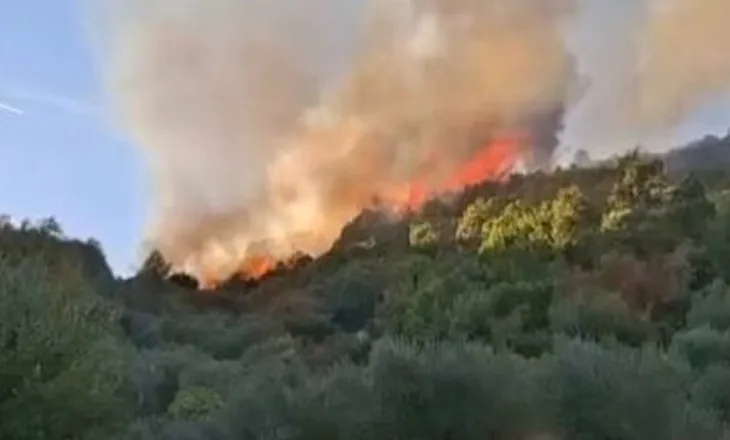Zjarri përfshin zonat me ullishte në Peqin, era e fortë vështirëson situatën në Haspiraj (VIDEO)